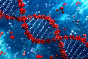 Kenya Form 4 Biology